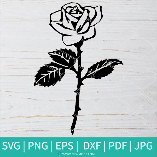 Rose SVG Rose Outline PNG Transparent File Instant Download 