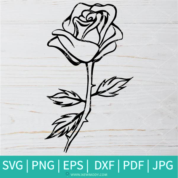 Rose SVG Rose Outline PNG Transparent File Instant Download 